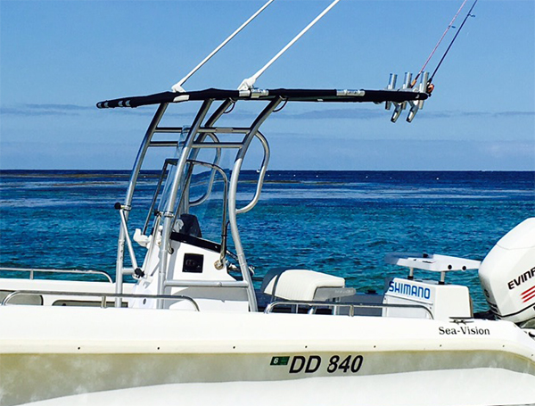 Förderung! Dolphin Pro2 Center – Fishing Rod Holder Bewertung und Preis